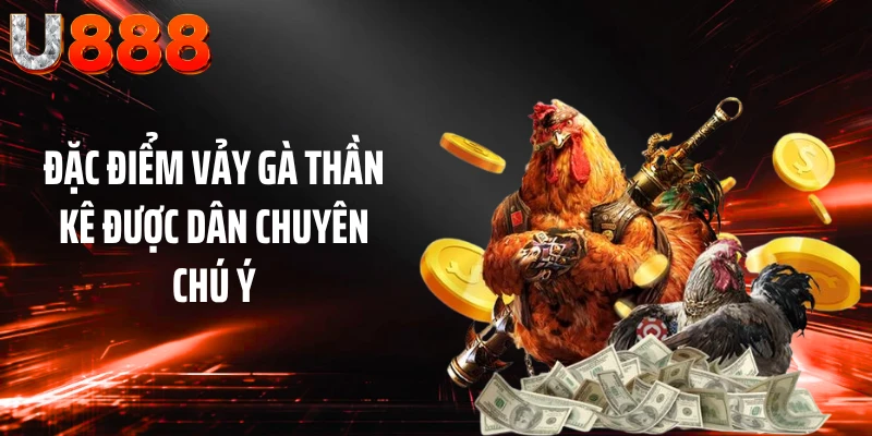 Đặc điểm vảy gà thần kê được dân chuyên chú ý