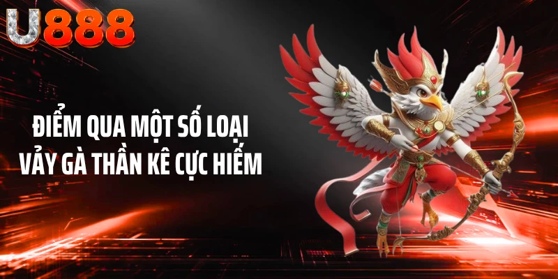 Điểm qua một số loại vảy gà thần kê cực hiếm