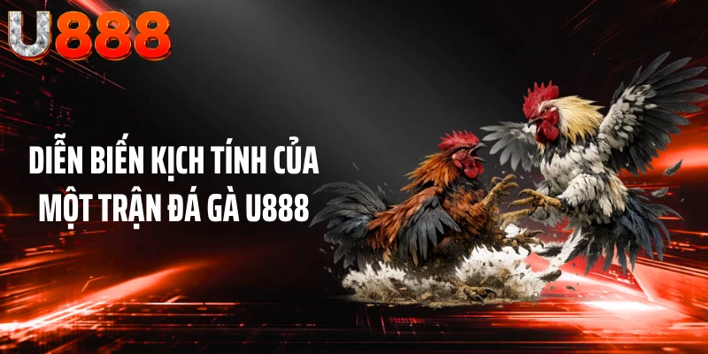 Diễn biến kịch tính của một trận đá gà U888