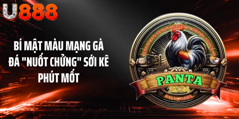 Bí Mật Màu Mạng Gà Đá "Nuốt Chửng" Sới Kê Phút Mốt