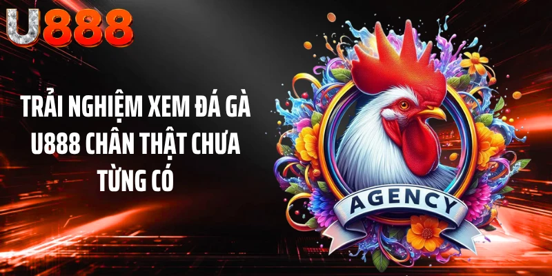 Trải nghiệm xem đá gà U888 chân thật chưa từng có