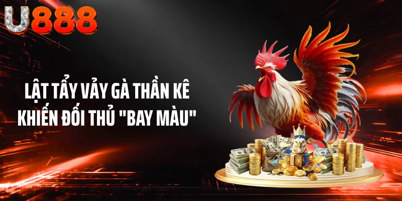 Lật Tẩy Vảy Gà Thần Kê Khiến Đối Thủ "Bay Màu"